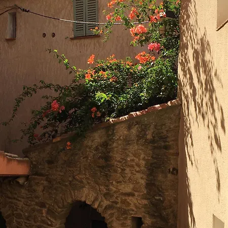 Liege, Vue Au Village De Les Mimosas * Bormes-les-Mimosas