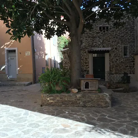 Liege, Vue Au Village De Les Mimosas Bormes-les-Mimosas
