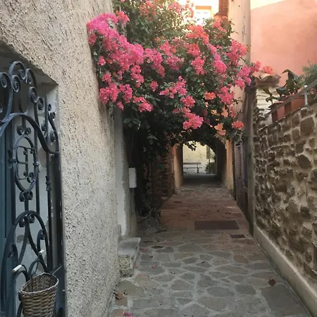 Liege, Vue Au Village De Les Mimosas Bormes-les-Mimosas